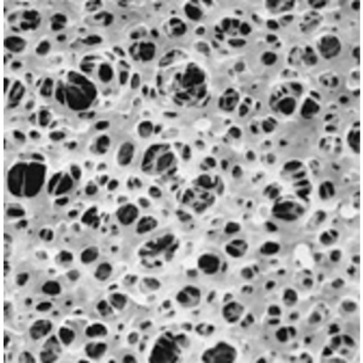 pall mce membrane 100pc/1盒64678 _1_.jpg
